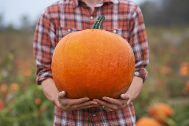 pumpkin workout