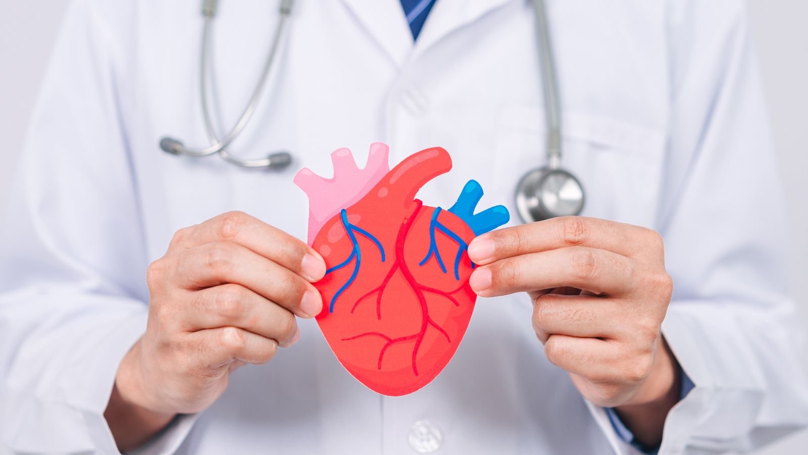 Boosts Cardiovascular Health - Health Benefits of Playing Pickleball
