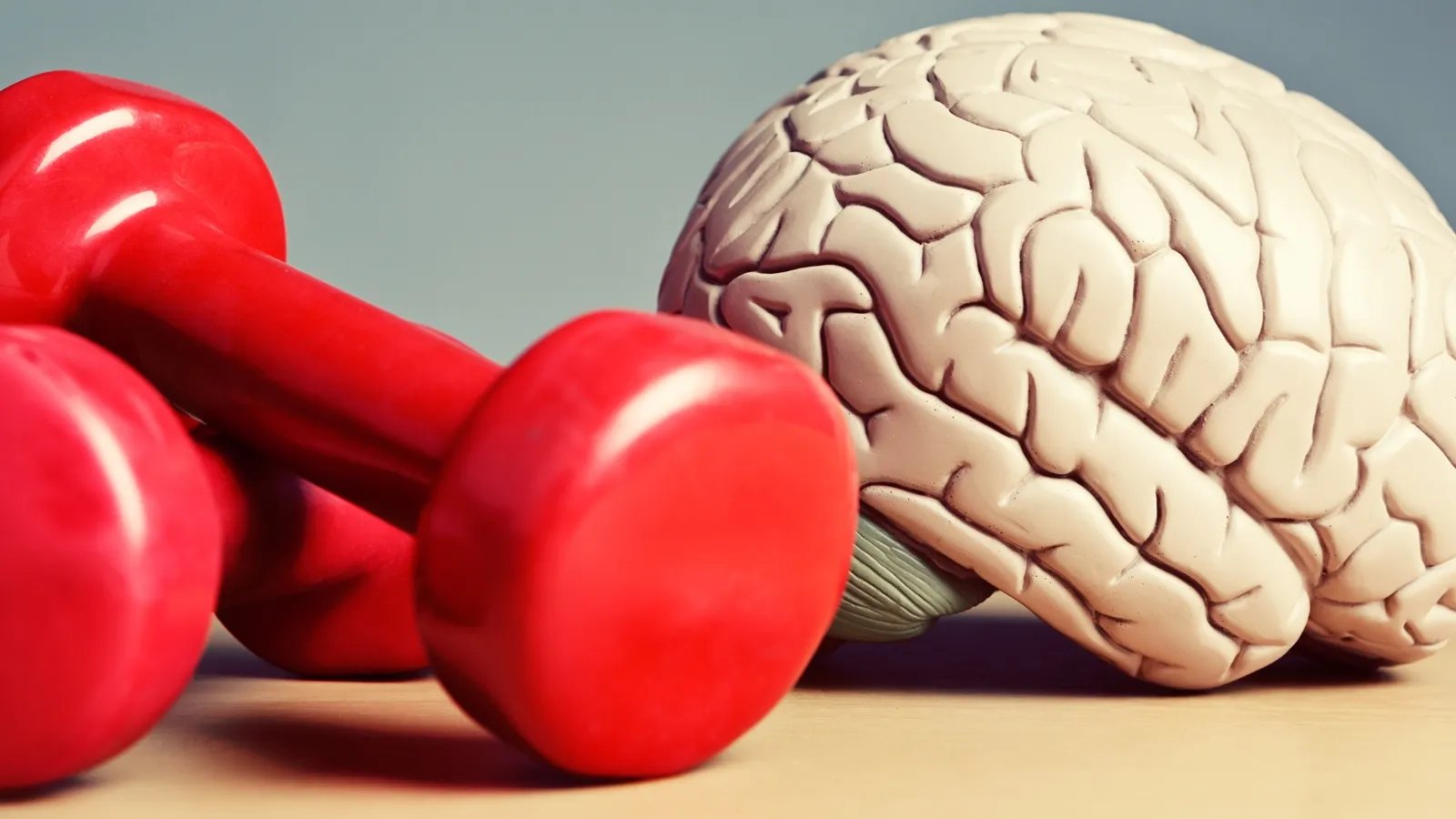 Exercise Impact On Physical Fitness & Mental Health
