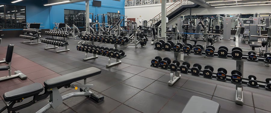 25OL-CS-Dumbbells-1440x600