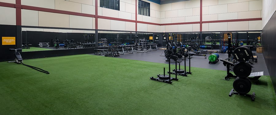 25OL-CS-Turf-1440x600