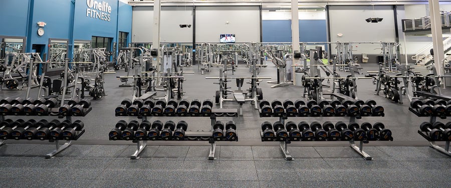 25OL-NN-Dumbbells-1440x600