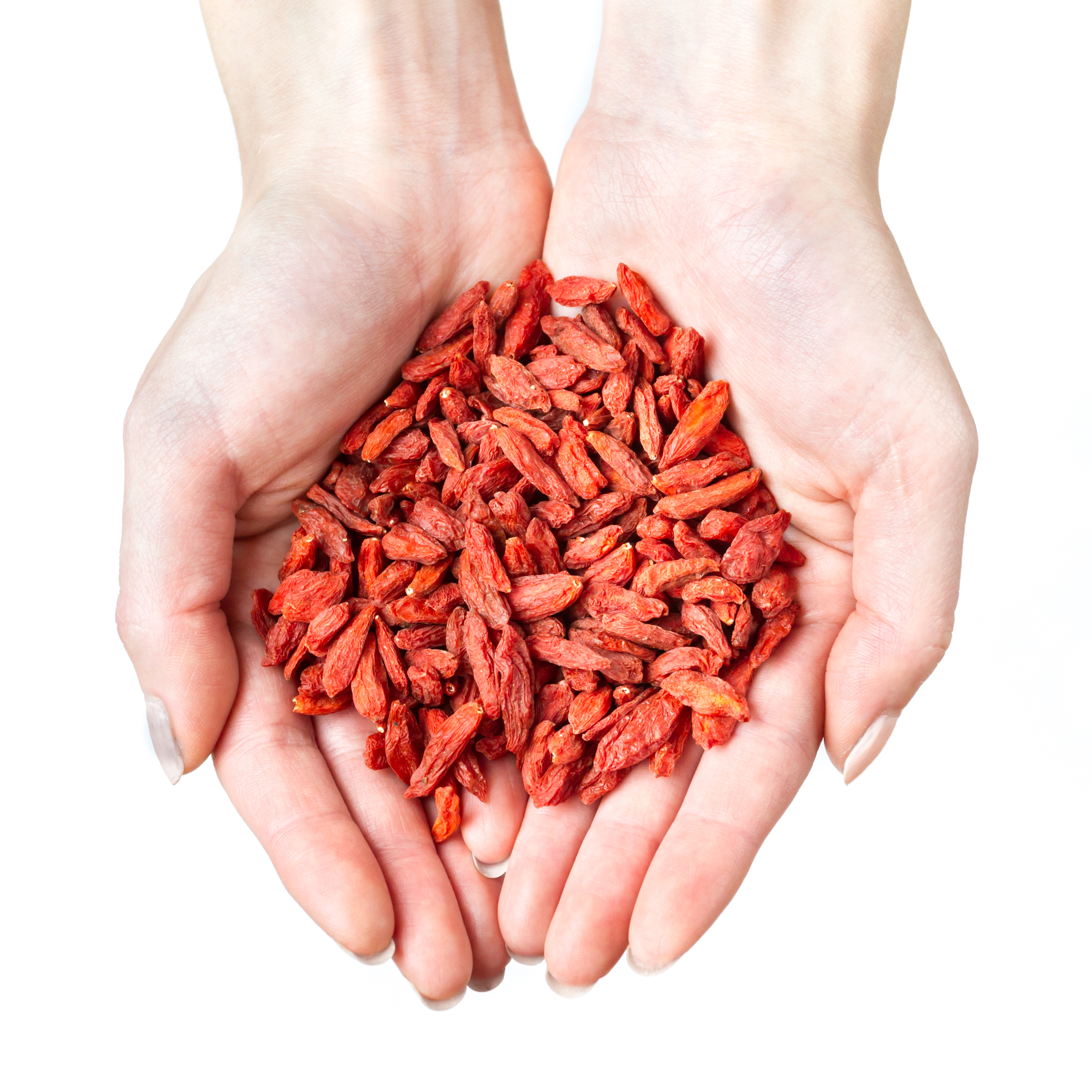 Full frame of Goji Berries